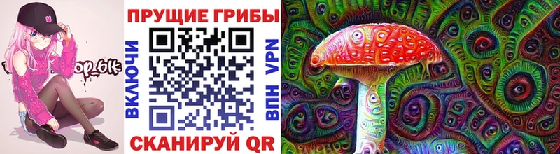 darknet Telegram  Карасук  Галлюциногенные грибы MAGIC MUSHROOMS 
