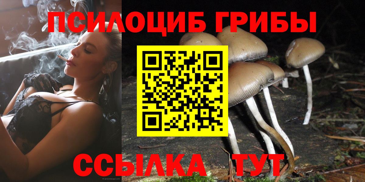 Псилоцибиновые грибы Psilocybe  что такое   Карасук  Галлюциногенные грибы Magic Shrooms 