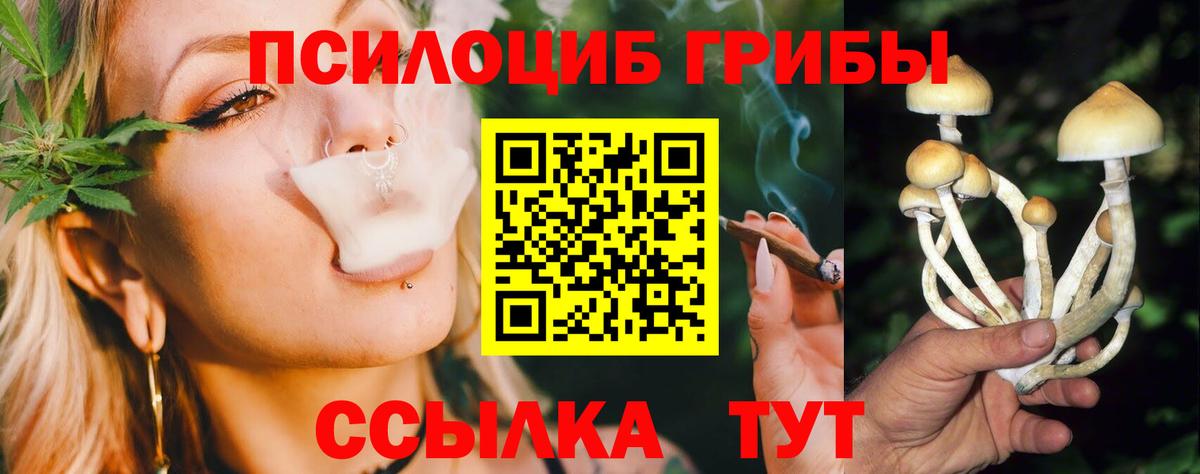 Карасук  Галлюциногенные грибы мицелий  Вход с VPN 